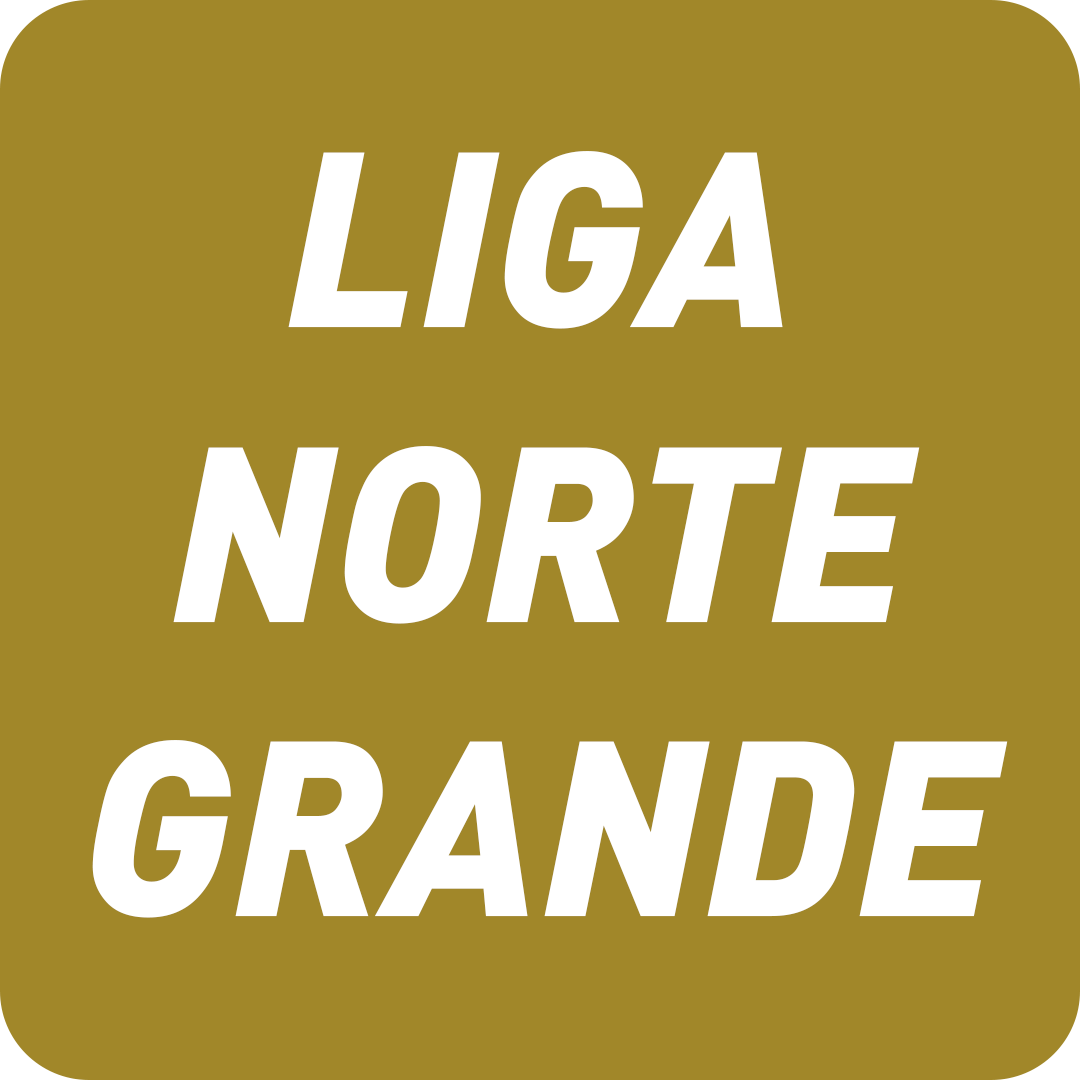Liga Norte Grande - 2025