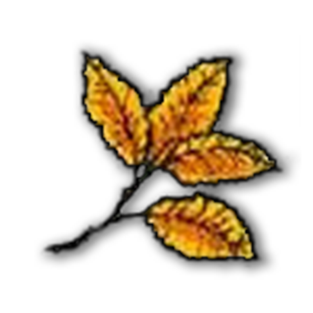 Tierra del Fuego 7´s